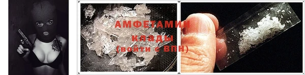 гидра Аркадак