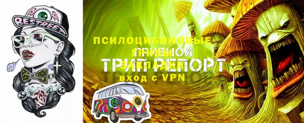 крисы Армянск