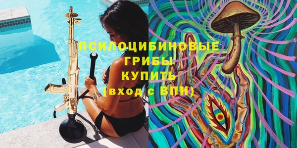 гидра Аркадак